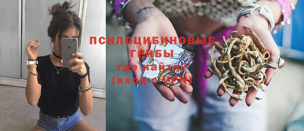 а пвп мука Алзамай