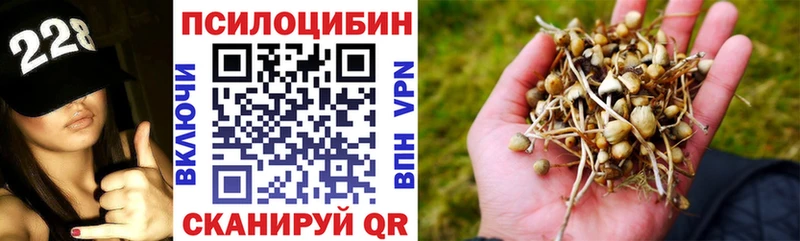 купить  сайты  Таруса  Псилоцибиновые грибы GOLDEN TEACHER 